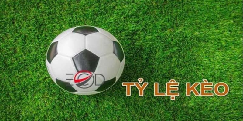 Tỷ lệ kèo hôm nay - Các tỷ lệ kèo bóng đá nhà cái TT88